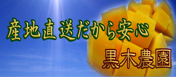 �{�蔫�A�����n�}���S�[�@���b�h�N�C�[���͎Y�n������������S